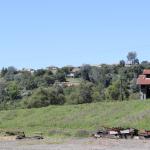 IMG_7742 (May 28, 2024)